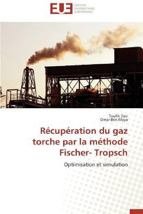 Récupération Du Gaz Torche Par La Méthode Fischer- Tropsch by Collectif