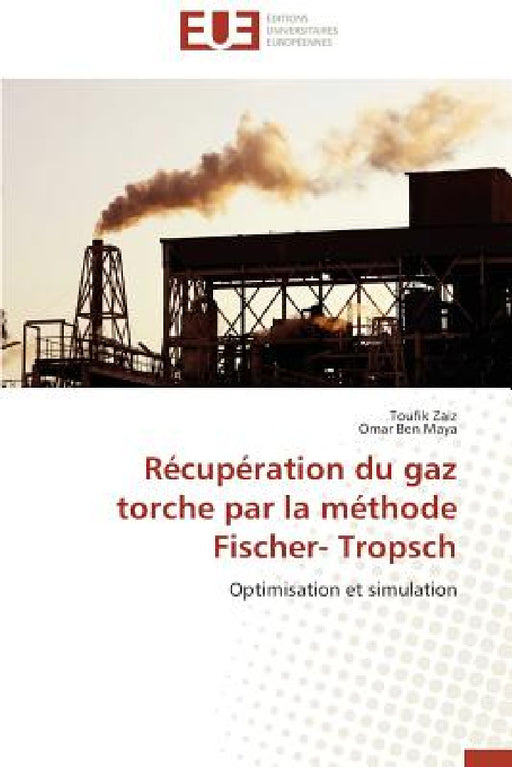 Récupération Du Gaz Torche Par La Méthode Fischer- Tropsch by Collectif
