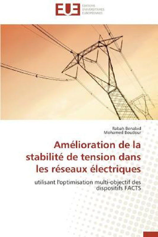 Amélioration de la Stabilité de Tension Dans Les Réseaux Électriques by Collectif
