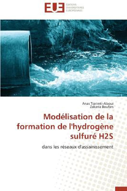Modélisation de la Formation de l'Hydrogène Sulfuré H2s by Collectif
