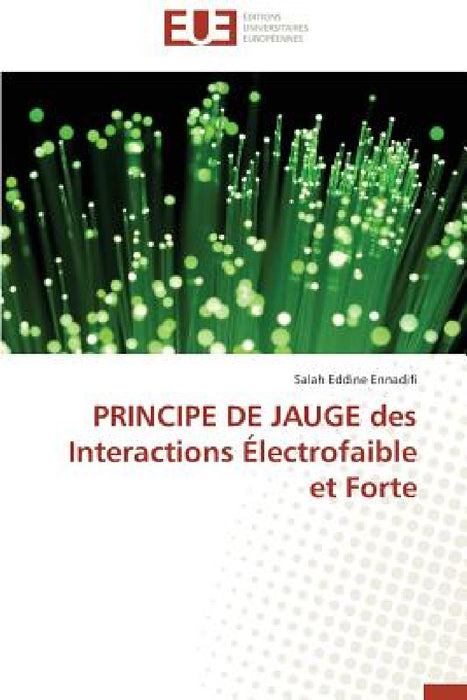 Principe de Jauge Des Interactions Électrofaible Et Forte by Ennadifi-S