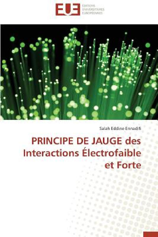 Principe de Jauge Des Interactions Électrofaible Et Forte by Ennadifi-S