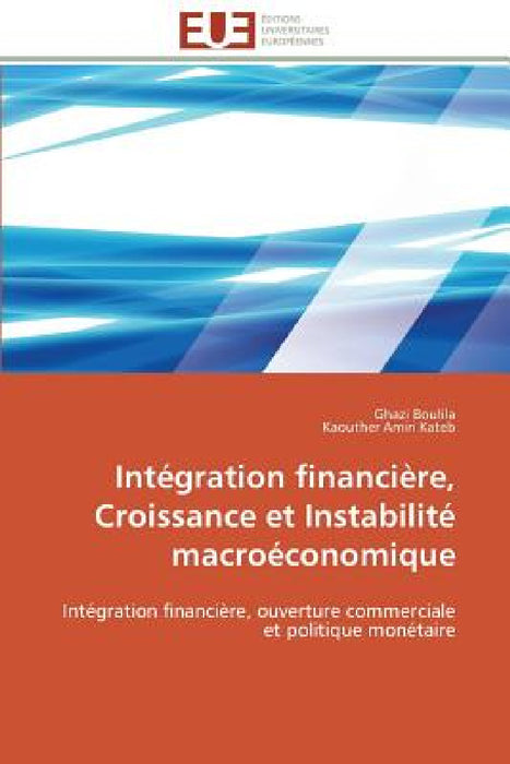 Intégration Financière, Croissance Et Instabilité Macroéconomique by Collectif