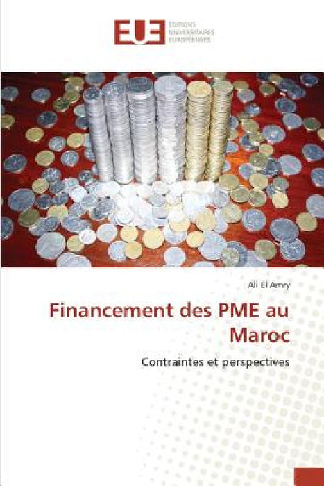 Financement Des Pme Au Maroc by El Amry-A