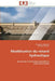 Modélisation du renard hydraulique by Collectif