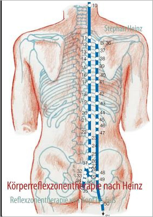 Körperreflexzonentherapie nach Heinz: Reflexzonentherapie von Kopf bis Fuß by Stephan Heinz