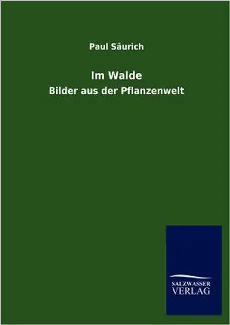 Im Walde by Säurich, Paul