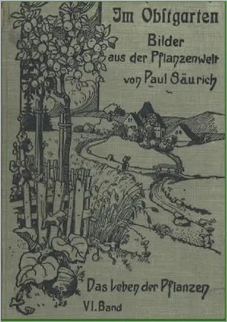 Im Obstgarten by Säurich, Paul