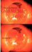 Cold Nuclear Fusion: Germany 2012 by Florian Ion Petrescu