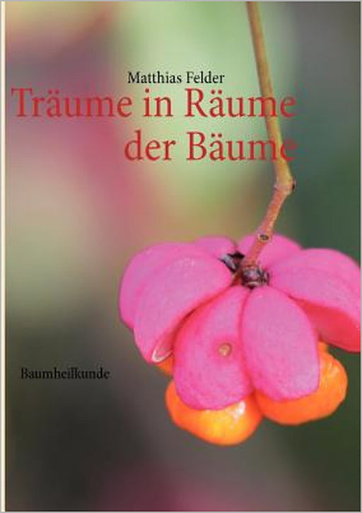 Träume in Räume der Bäume: Baumheilkunde by Matthias Felder
