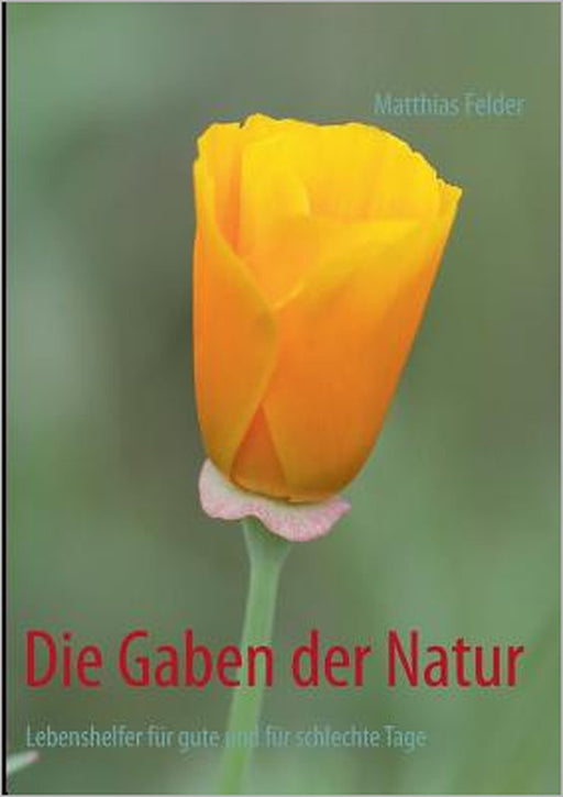 Die Gaben der Natur: Lebenshelfer für gute und für schlechte Tage by Matthias Felder
