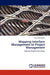 Mapping Interface Management to Project Management by Yazan Abualfeilat