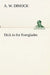 Dick in the Everglades by A. W. Dimock