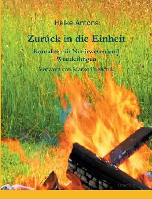 Zurück in die Einheit: Kontakte mit Naturwesen und Wunderlingen by Heike Antons