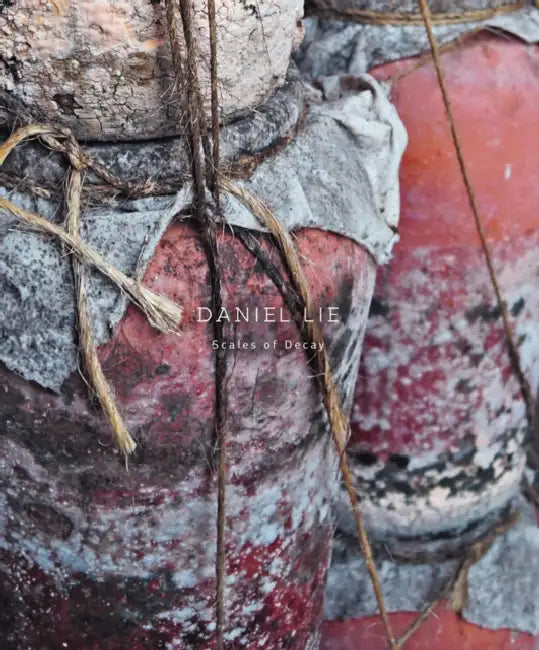 Daniel Lie: Scales of Decay by Daniela Leykam, Christoph Tannert