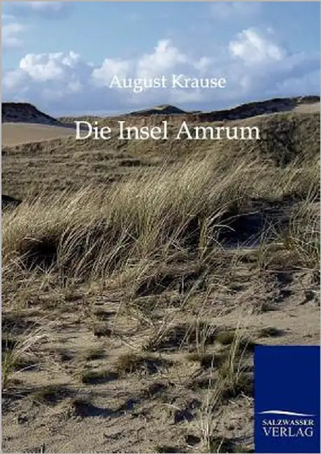 Die Imsel Amrum by Krause, August Wilhelm Ferdinand