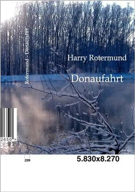 Donaufahrt by Rotermund, Harry
