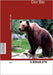Der Bär by Krementz, A.
