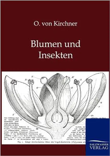 Blumen und Insekten by Von Kirchner, O.