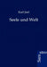 Seele und Welt by Karl Joel