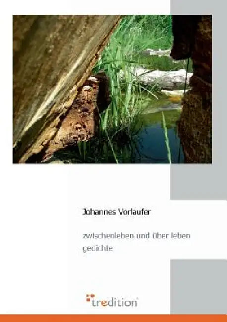 Zwischenleben Und Uber Leben by Johannes Vorlaufer