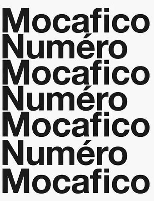 Guido Mocafico: Mocafico Numero by Guido Mocafico