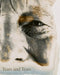 David Bailey: Tears and Tears by David Bailey