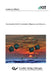 Functionalized 3d/4f Coordination Oligomers by Asamanjoy Bhunia