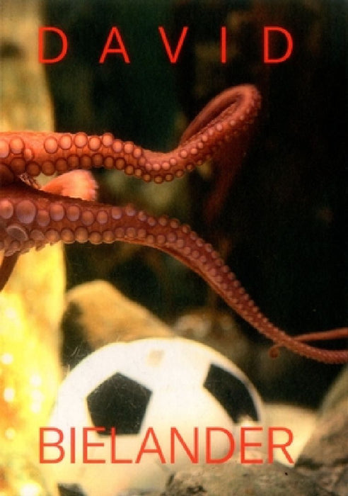 David Bielander: Twenty Years. 2016-1996 by Florian Hufnagl