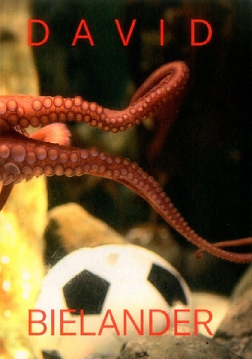 David Bielander: Twenty Years. 2016-1996 by Florian Hufnagl