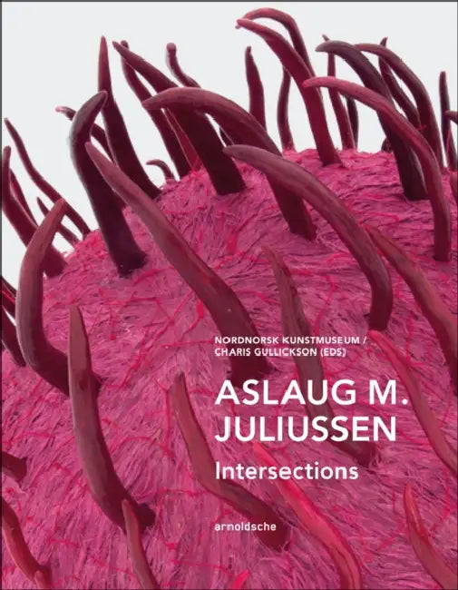 Aslaug M. Juliussen: Intersections by Charis Gullickson, Nordnorsk Kunstmuseum