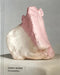 Erwin Wurm: Dissolution by Christoph Thun-Hohenstein, Rainald Franz, Bärbel Vischer
