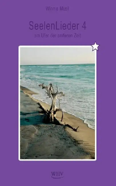 SeelenLieder 4: am Ufer der anderen Zeit by Winnie Musil