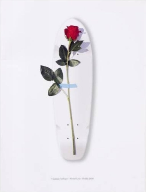 A Curious Catalogue by Michael Leon