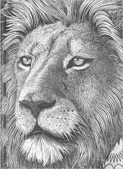 Money by Prill Vieceli Cremers