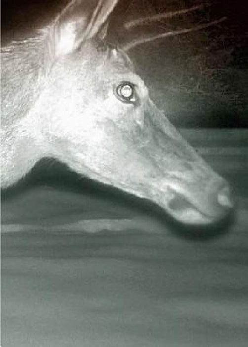 Trapped: Trapped by Alex Hannn