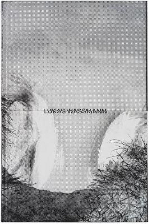 Lukas Wassmann: W by Lukas Wassmann