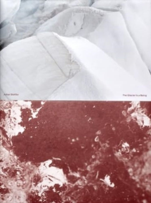 The Glacier is a Being by Julian Stettler