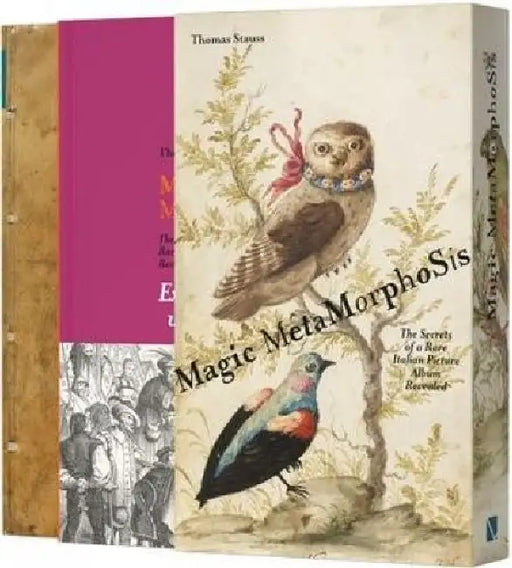 Magic Metamorphosis: The Secrets of a Rare Italian Picture Album Revealed by Thomas Stauss