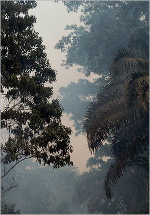 Yana Wernicke & Jonas Feige: Zenker by Yana Wernicke, Yana Wernicke