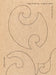 Sophie Taeuber-Arp: The Rule of Curves by Sophie Taeuber-Arp, Briony Fer, Jenny Nachtigall