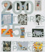 Artists' Editions for Parkett: 200 Art Works 25 Years: Catalogue Raisonné by Parkett
