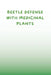 Beetle Defense with Medicinal Plants by Ziya Anees