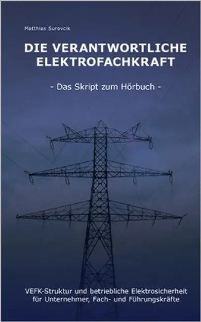 Die Verantwortliche Elektrofachkraft: VEFK-Struktur und Betriebliche Elektrosicherheit für Unternehmer, Fach- und Führungskräfte by Surovcik, Matthias