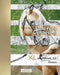 Practice Drawing - XL Workbook 11: Horses by York P. Herpers