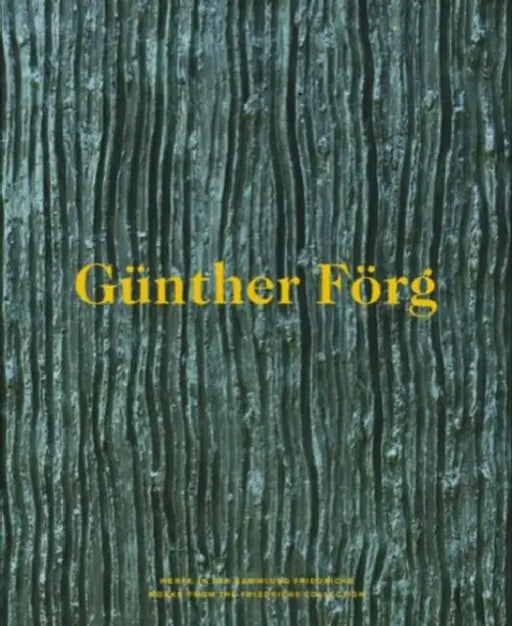 Günther Förg: Works from the Friedrichs Collection by Günther Förg, Christian Malycha, André Butzer
