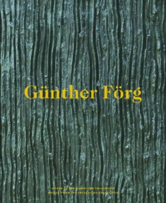 Günther Förg: Works from the Friedrichs Collection by Günther Förg, Christian Malycha, André Butzer
