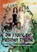Songbook: Die Frucht der falschen Träume: mit allen Leadsheets und Songtexten zum Musical by Musingal Verlag Cottbus