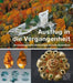 Ausflug in Die Vergangenheit - Archaologische Streifzuge Durchs Baselbiet by Dominique Oppler, David Bronnimann, Pascal Favre