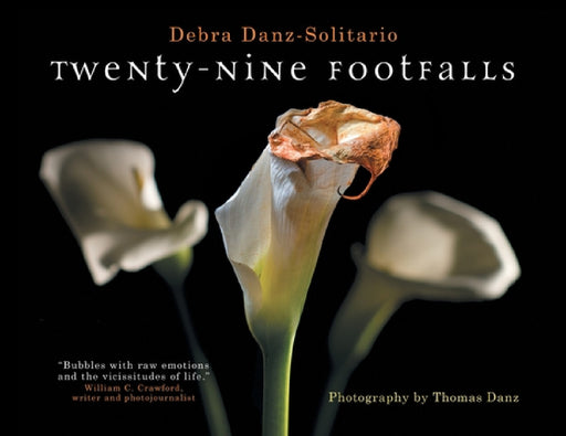 Twenty-Nine Footfalls by Debra Danz-Solitario